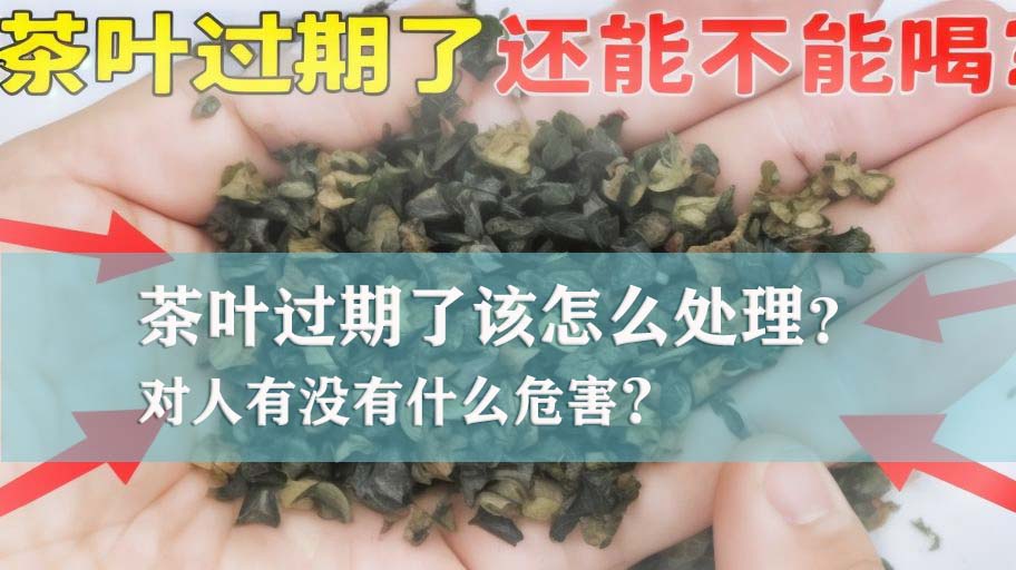 广州过期产品受潮茶叶销毁处理